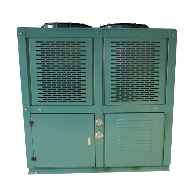 V Cold Storage Condensing Unit/Refrigeration Condensing Unit