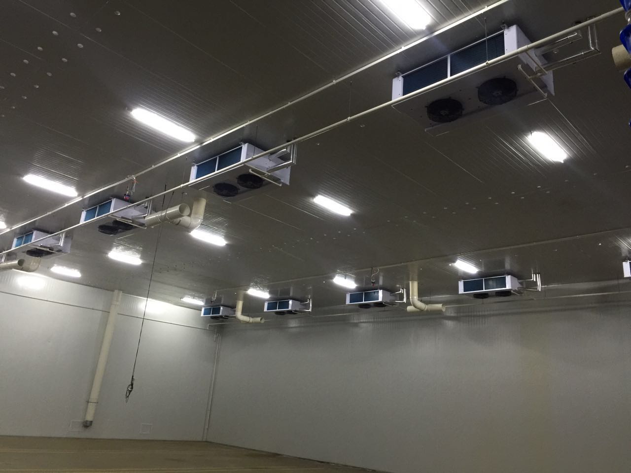 Air Cooler For Mushroom