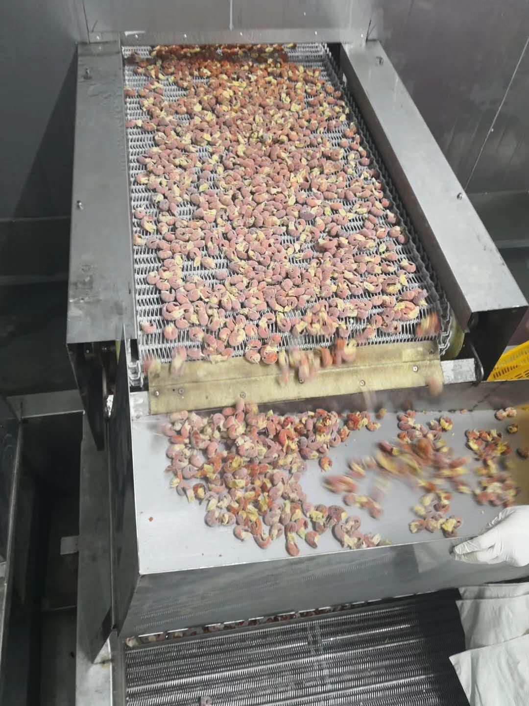 Spiral Blast Freezer